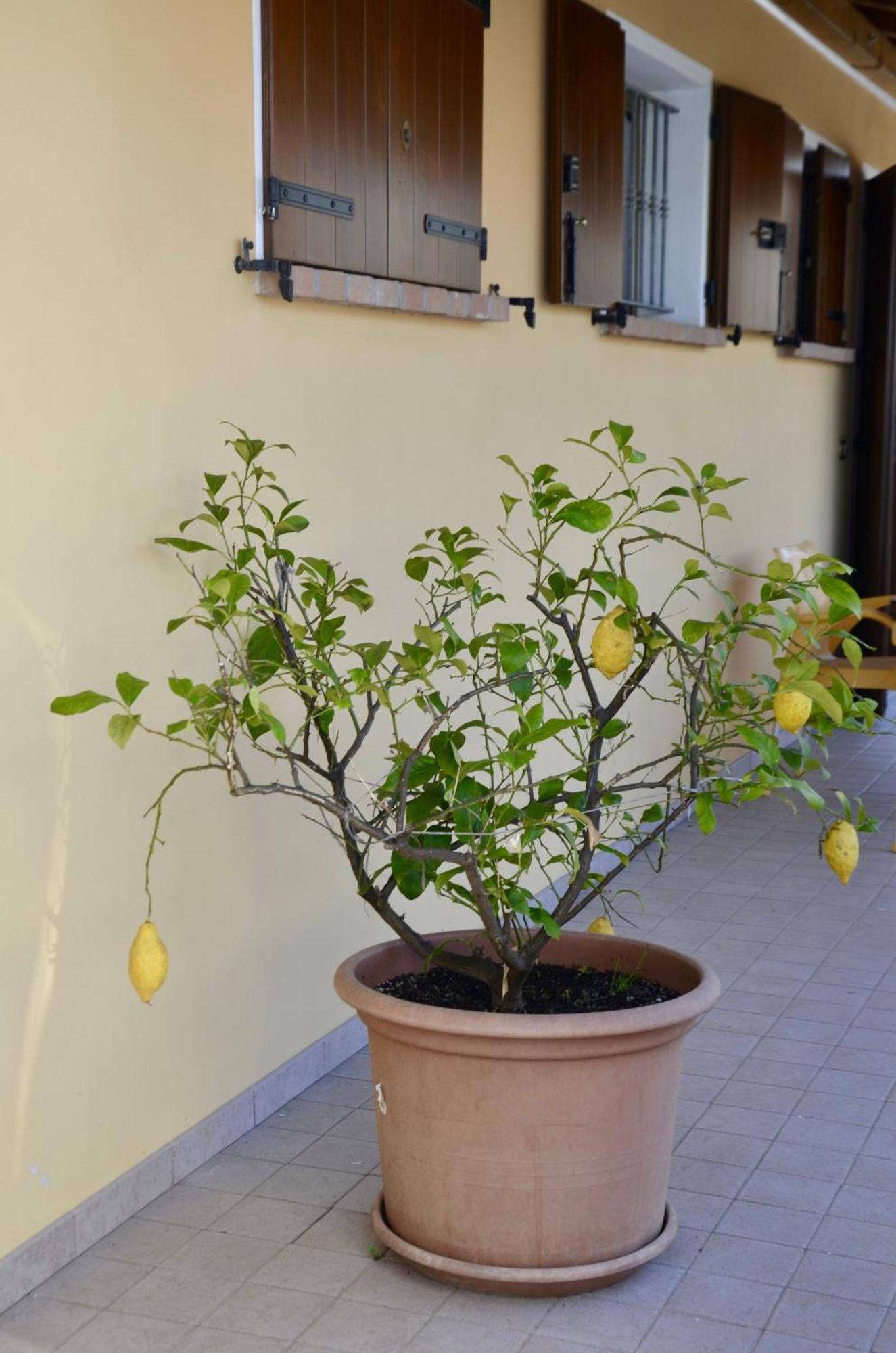 A Casa Di Amici Villa Vidor Exteriör bild